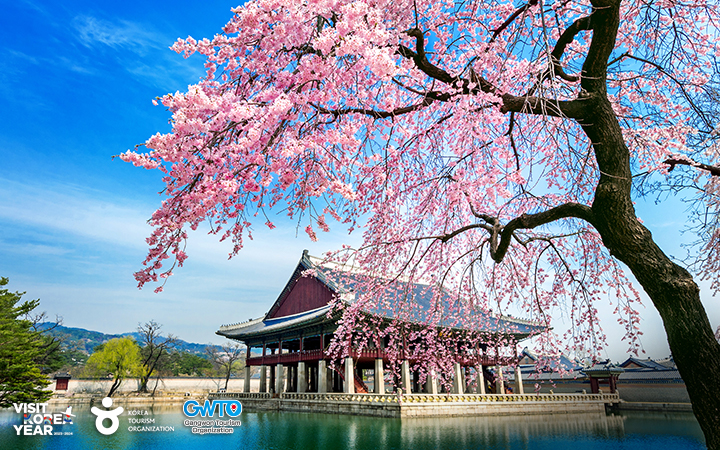 Rakso Travel - KOREA SPRING FESTIVAL (VISA-FREE)